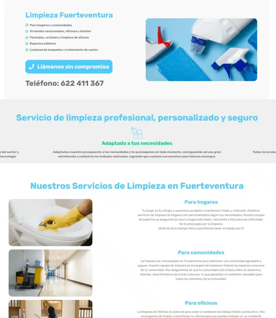 pagina web servicios seo local